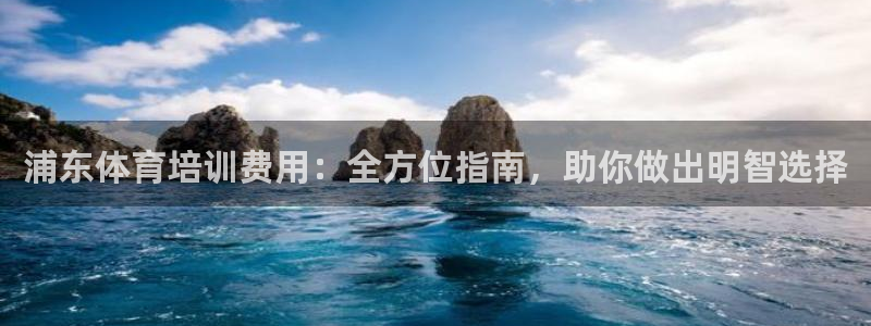 尊龙集团有限公司是国企吗：浦东体育培训费用：全方位指