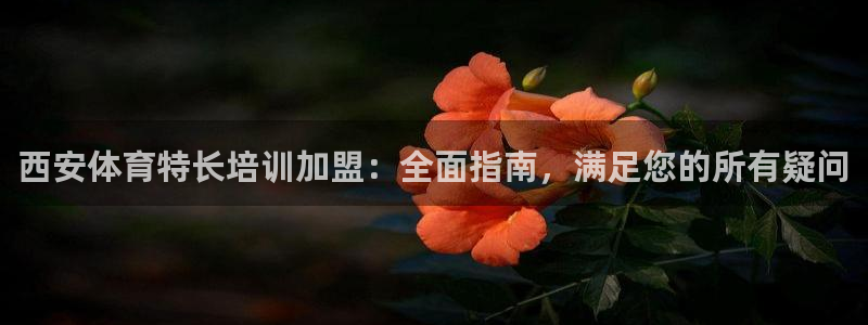 尊龙公司：西安体育特长培训加盟：全面指南，满足您的所
