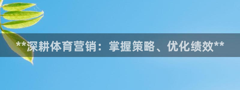 尊龙凯时赞助：**深耕体育营销：掌握策略、优化绩效*