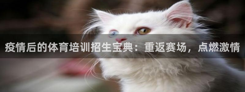尊龙人生就是博首页入口：疫情后的体育培训招生宝典：重