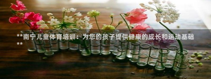 尊龙登录会员登录：**南宁儿童体育培训：为您的孩子提