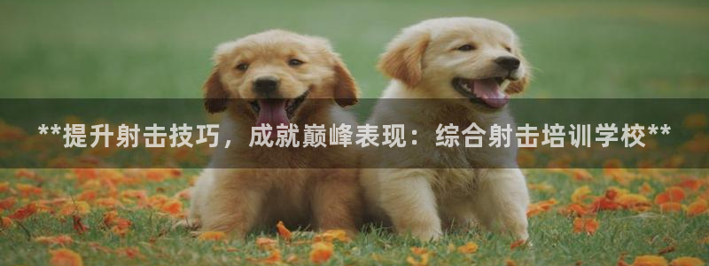 尊龙多少岁：**提升射击技巧，成就巅峰表现：综合射击