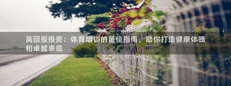 尊龙新版人生就是博!：高回报投资：体育培训的最佳指南