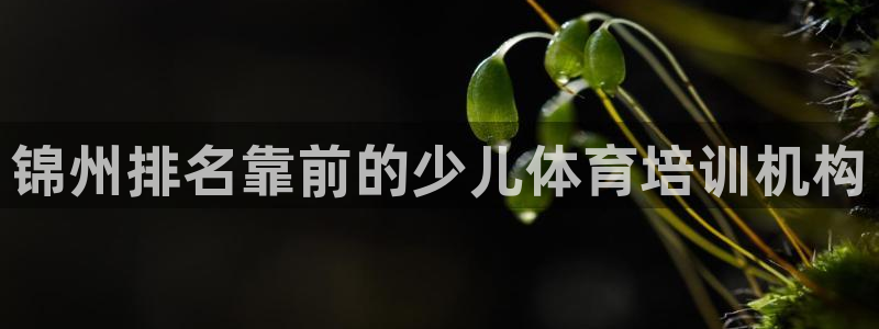 ag旗舰平台尊龙代言：锦州排名靠前的少儿体育培训机构