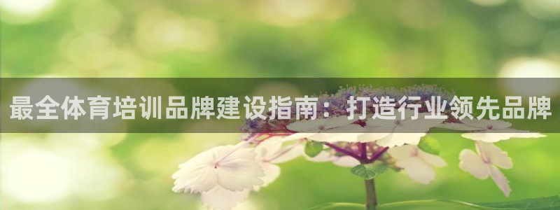 尊龙t300和t400哪个好：最全体育培训品牌建设指