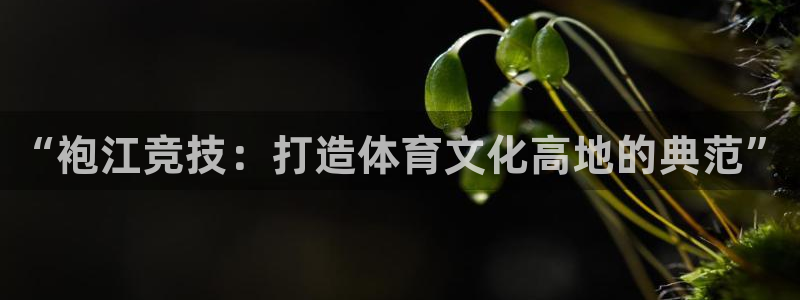 尊龙官方网站是真的吗