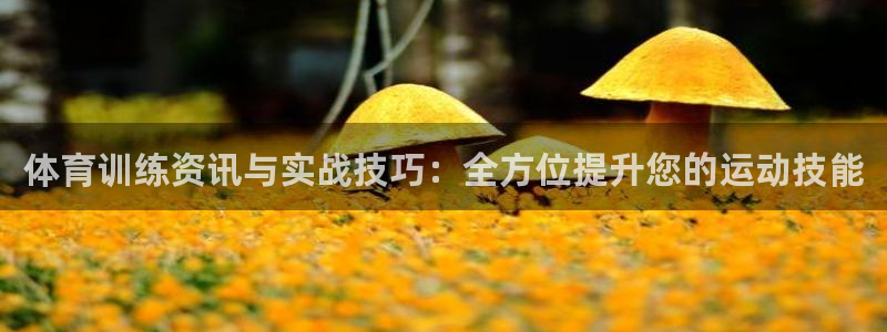 凯时平台app