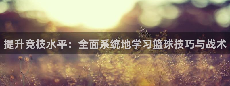 尊龙 下载