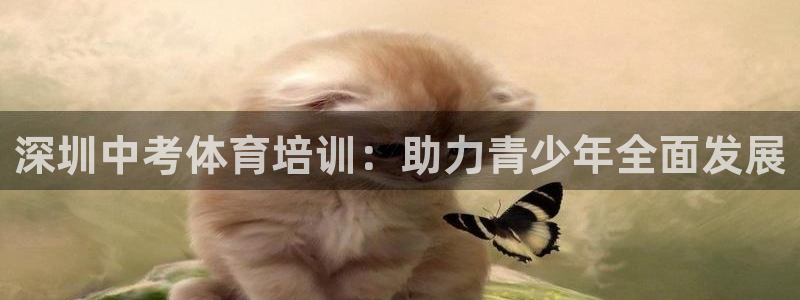 尊龙官方网站最新版V9.3.06