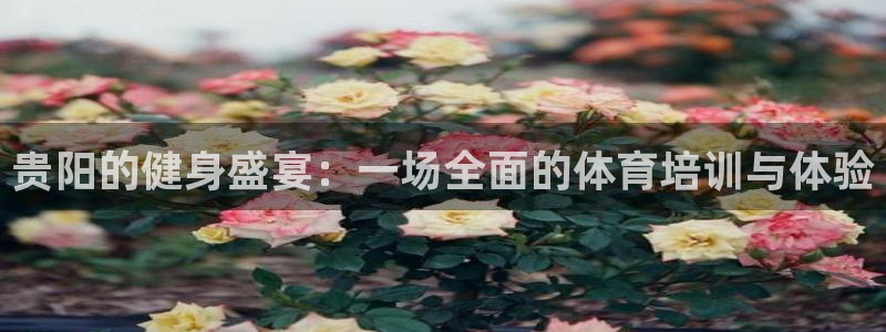 尊龙D88现金旧版