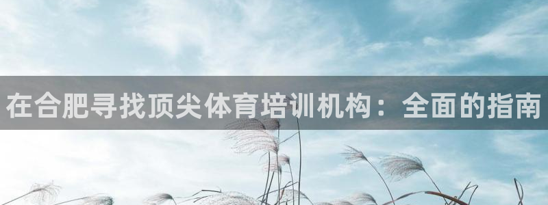 尊龙AG旗舰厅官网：在合肥寻找顶尖体育培训机构：全面