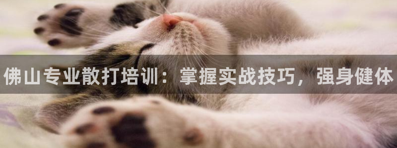 尊龙最新版：佛山专业散打培训：掌握实战技巧，强身健体