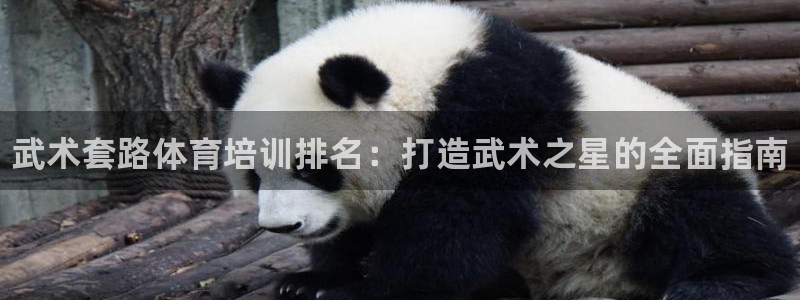 尊龙网站手机下载：武术套路体育培训排名：打造武术之星的全面指