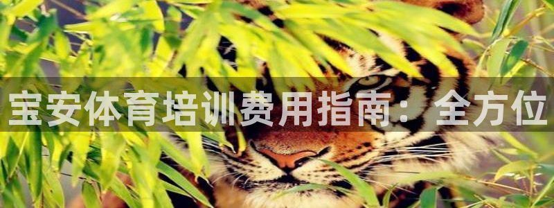 尊龙t500和t300区别：宝安体育培训费用指南：全方位