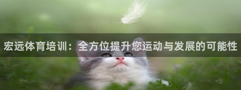 尊龙凯时 - 人生就是搏有假吗