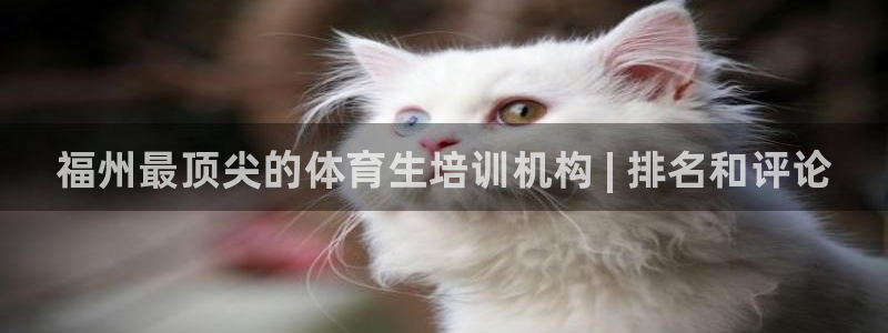 尊龙凯时品牌介绍：福州最顶尖的体育生培训机构 | 排名和评论