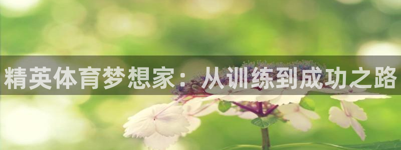 尊龙165：精英体育梦想家：从训练到成功之路