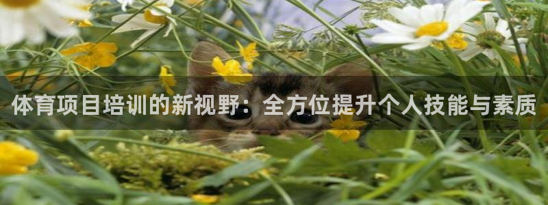 z6com尊龙凯时代理：体育项目培训的新视野：全方位