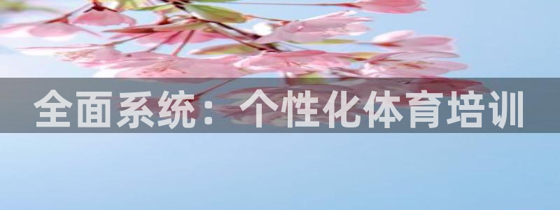 尊龙人生手机版都去ag发财网：全面系统：个性化体育培