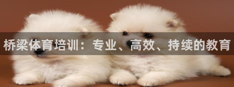 尊龙t500和t300区别：桥梁体育培训：专业、高效、持续的