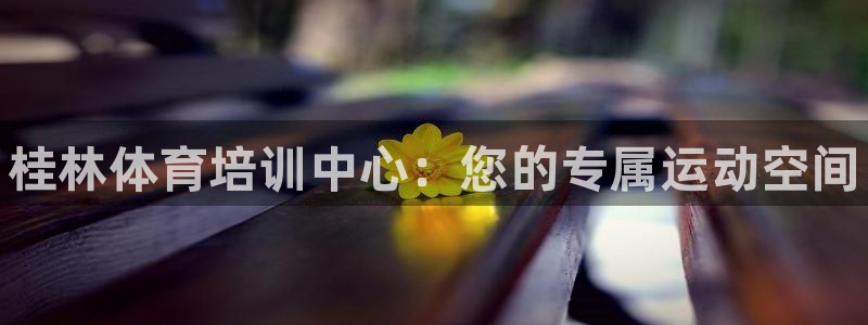 下载尊龙：桂林体育培训中心：您的专属运动空间