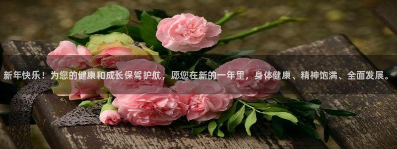 尊龙 5：新年快乐！为您的健康和成长保驾护航，愿您在新的一年